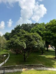 Blk 680C Jurong West Central 1 (Jurong West), HDB 4 Rooms #545397911